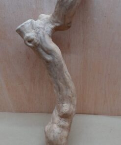 Java Wood - Single Stem - XL 10