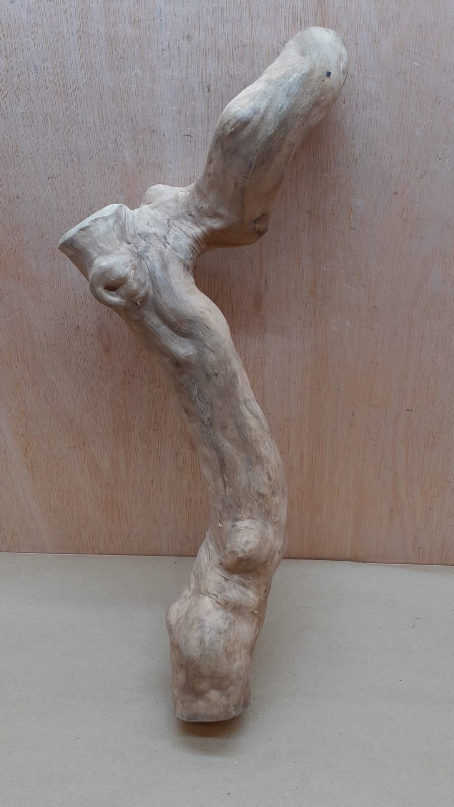 Java Wood - Single Stem - XL 10