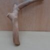 Java Wood - Single Stem - Small 2
