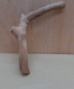 Java Wood - Single Stem - Small 2