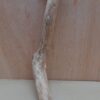 Java Wood - Single Stem - Small 5