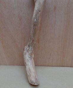 Java Wood - Single Stem - Small 5