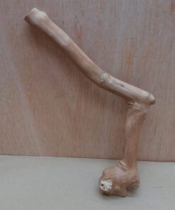 Java Wood - Single Stem - Small 8