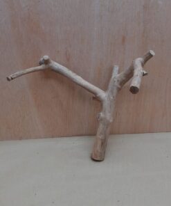 Java Wood - Double Stem - Small 7