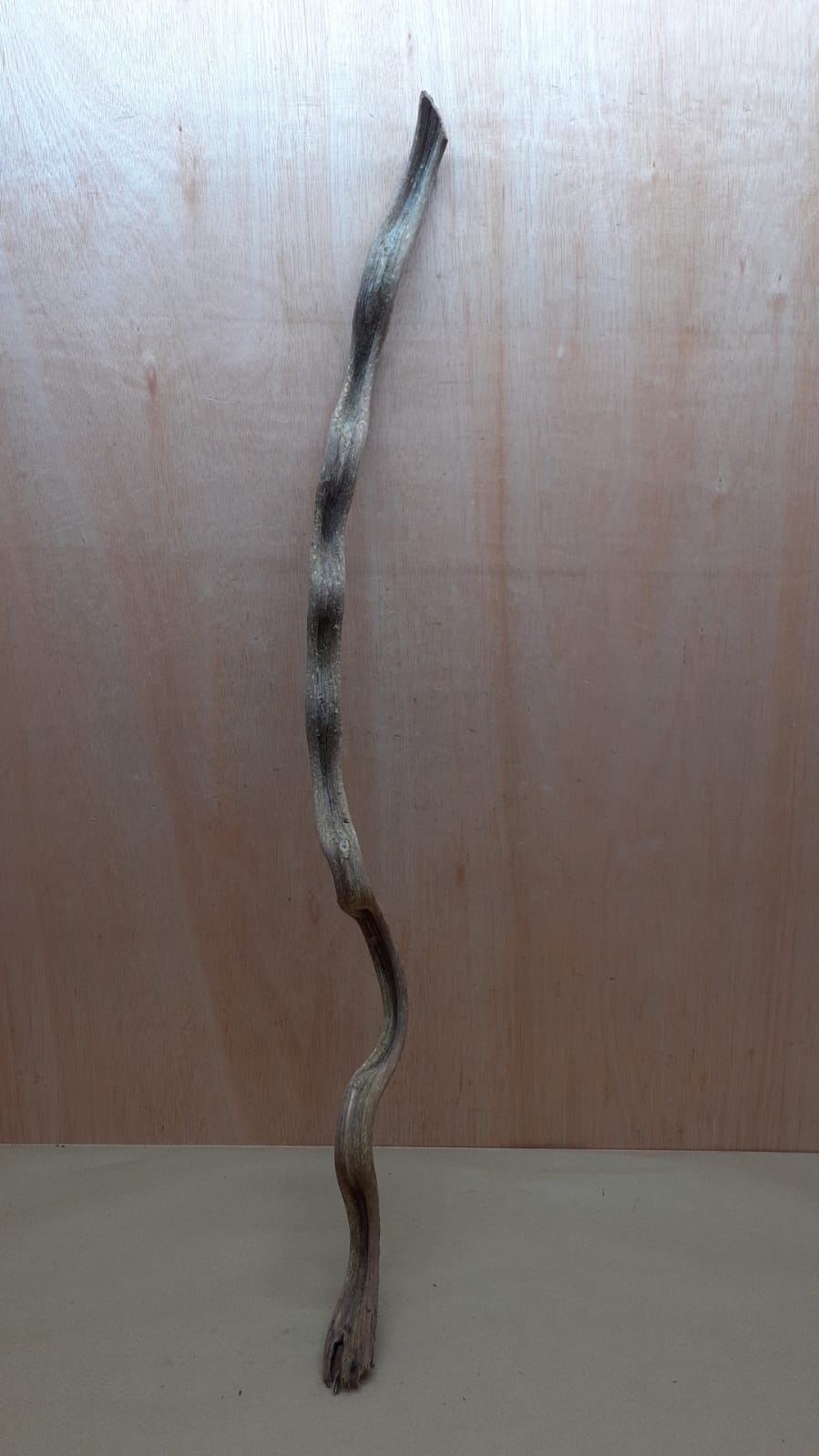 Monkey Ladder Liana - Long - 4