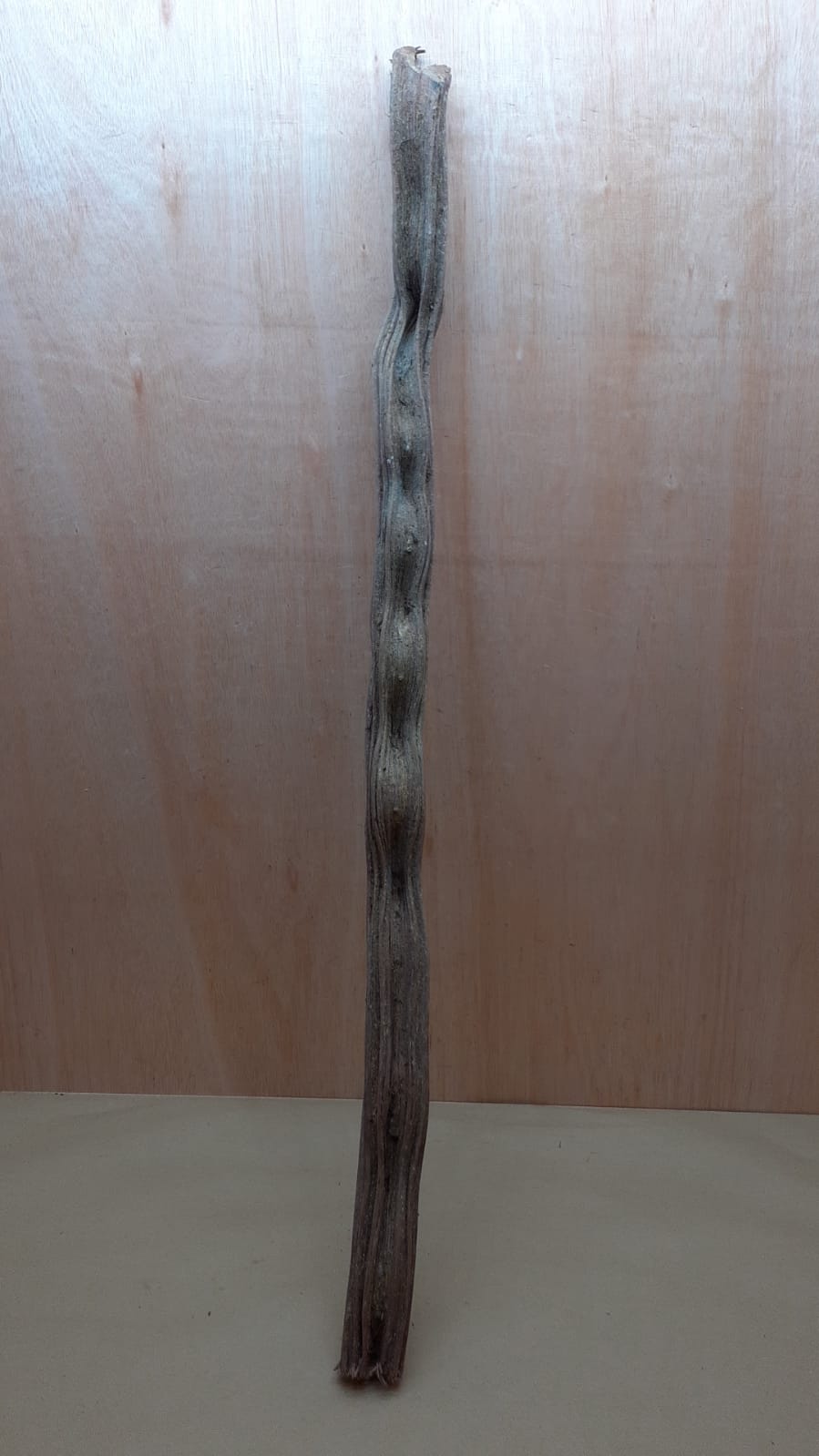 Monkey Ladder Liana - Long - 6