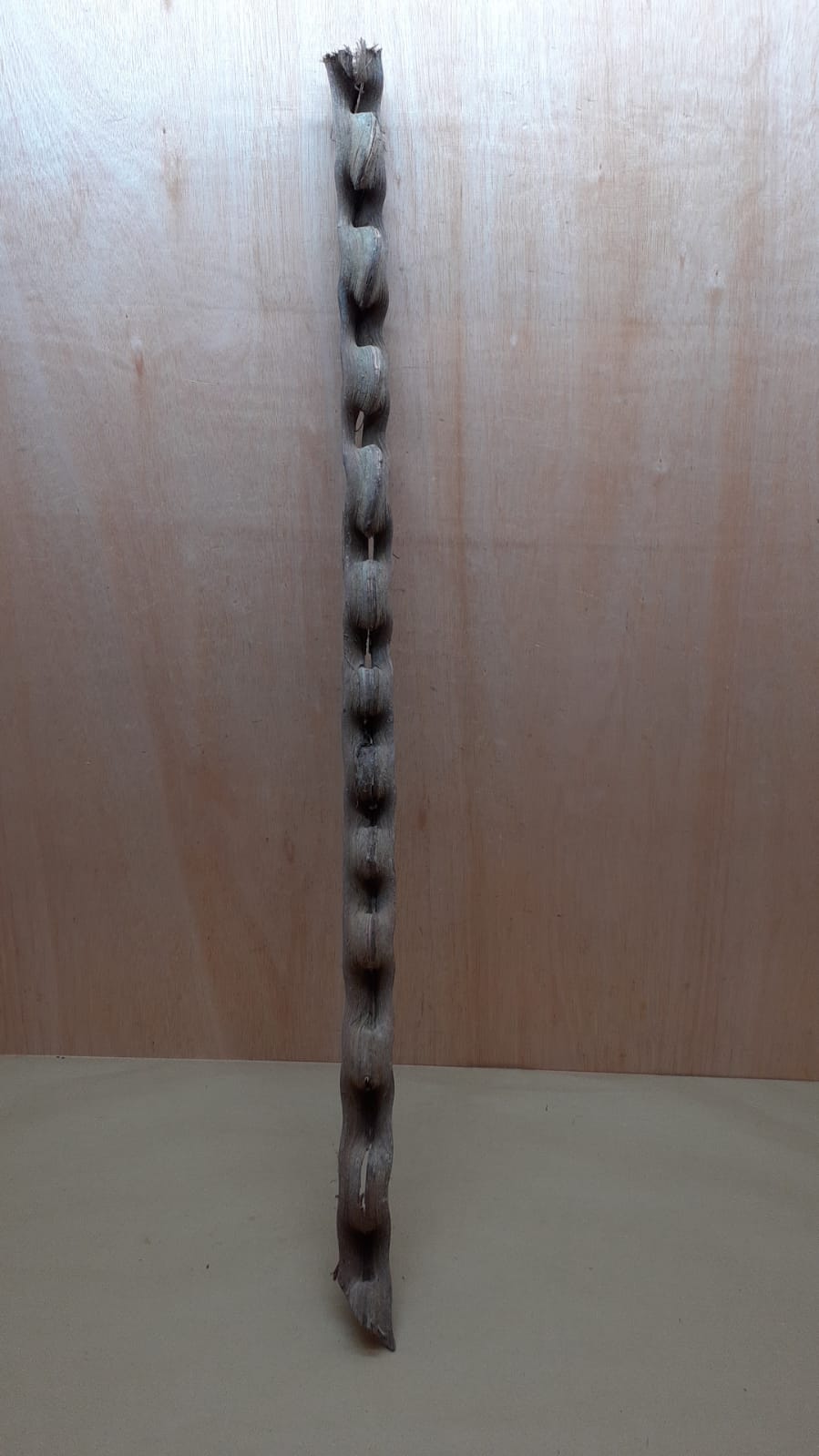 Monkey Ladder Liana - Long - 9