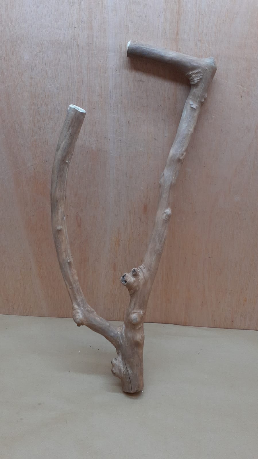 Java Wood - Double Stem - XL 4