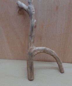 Java Wood - Double Stem - Small 3