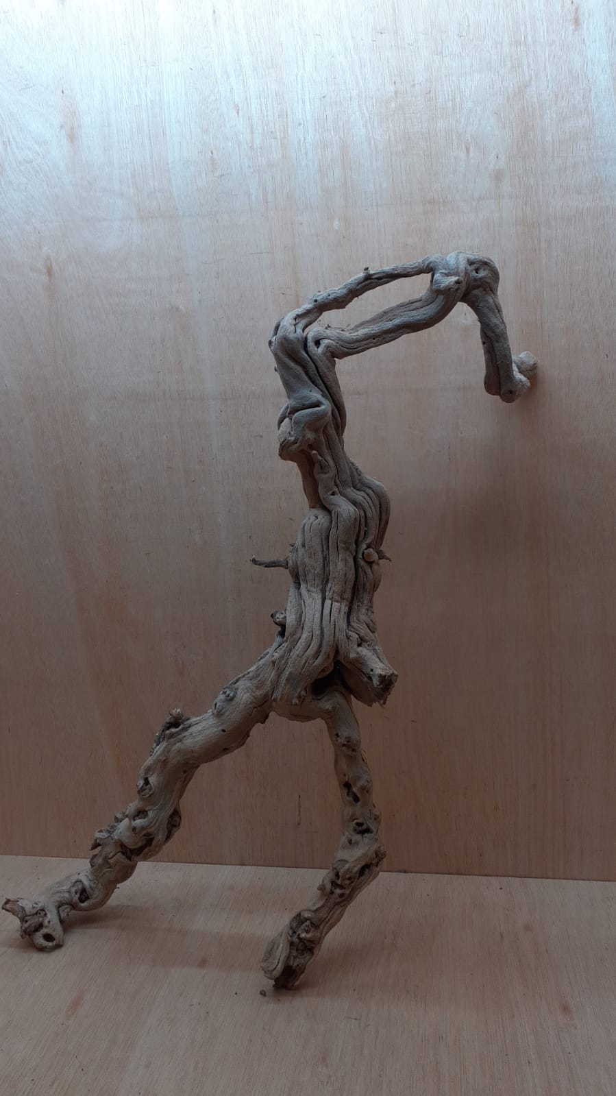Sandblasted Grapevine - XL 5