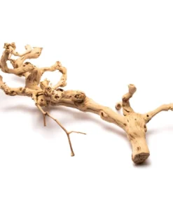 Sandblasted Grapevine - Large (60-80cm)