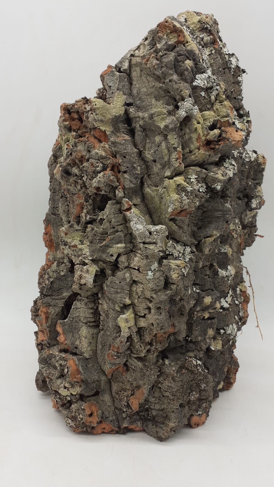 Large Cork Tube - Upto 40cm - 2