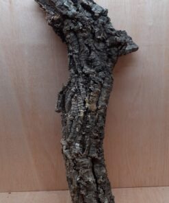 Medium Cork Tube - 60-80cm - 12