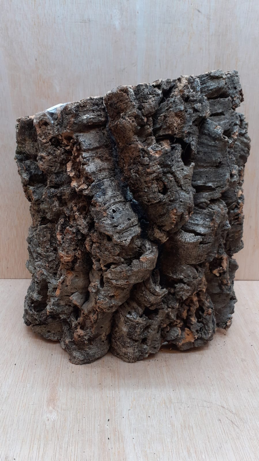 Large Cork Tube - Upto 40cm - 6