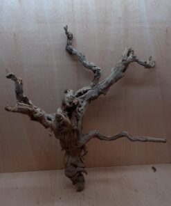 Sandblasted Grapevine - XL 18