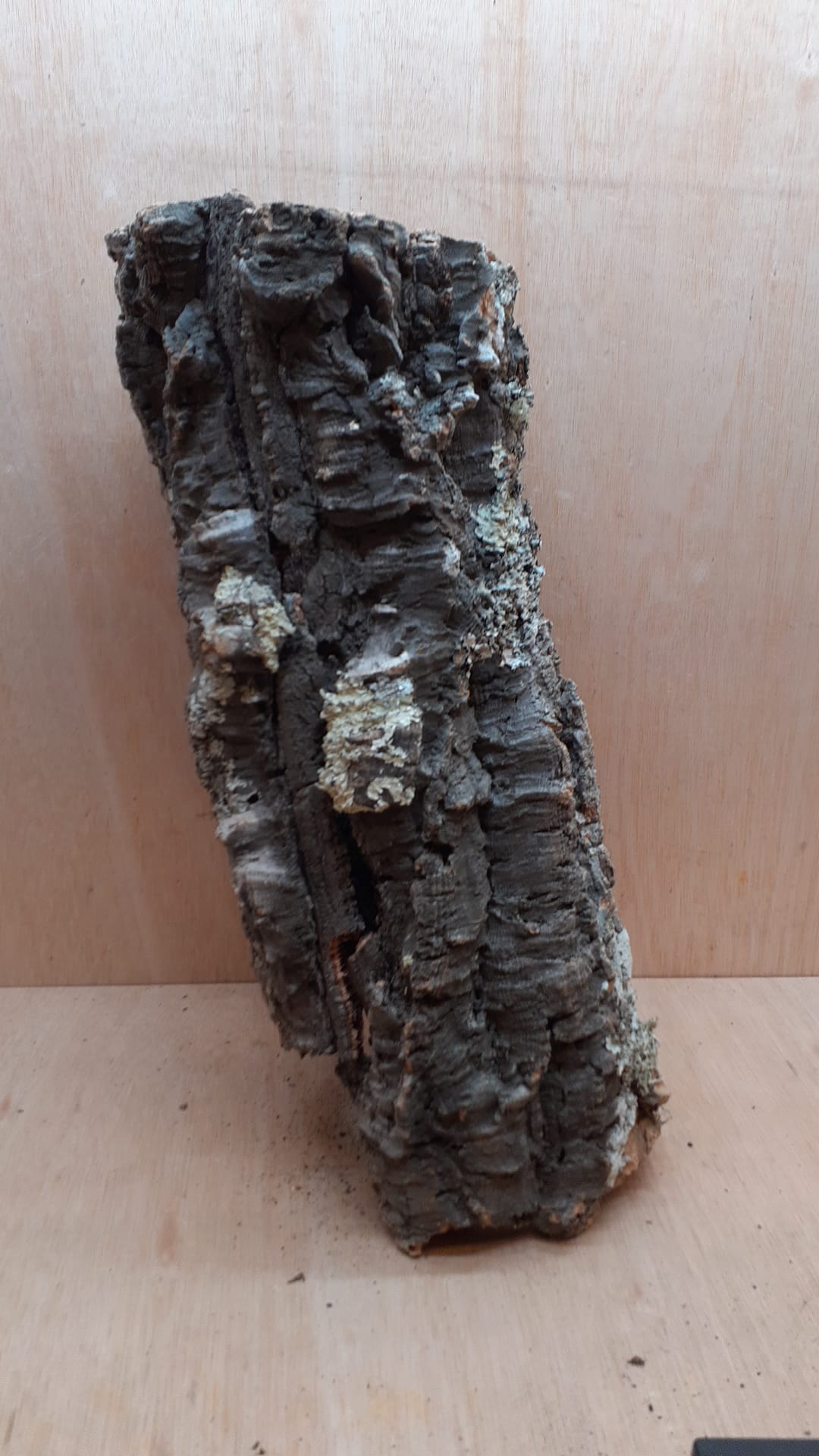 Large Cork Tube - 40-60cm - 7