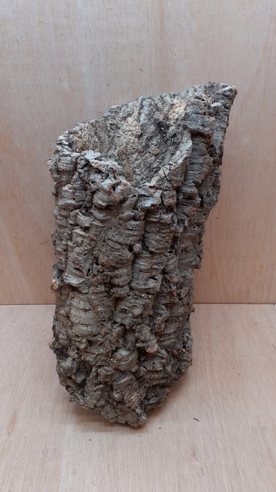 Large Cork Tube - 40-60cm - 3
