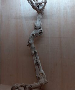 Sandblasted Grapevine - XL 11