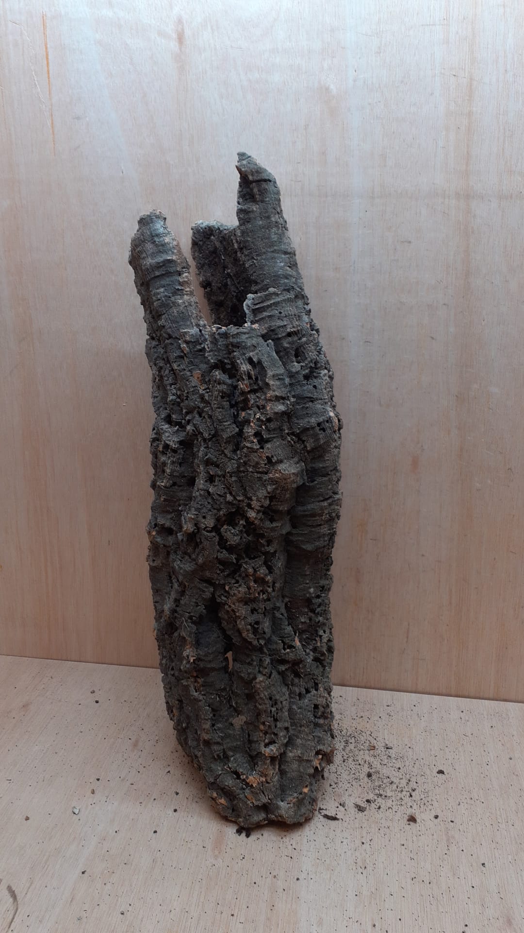 Medium Cork Tube - 60-80cm - 15