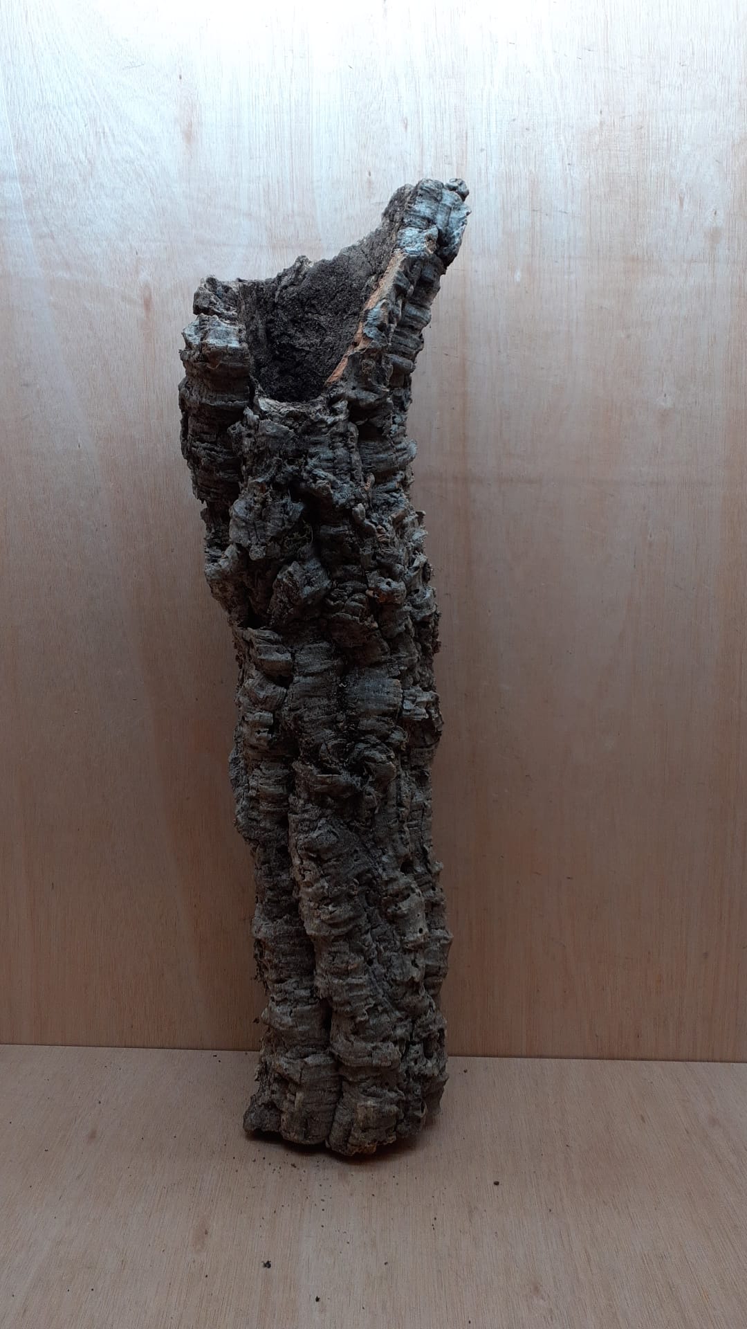 Medium Cork Tube - 60-80cm - 17