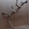 Sandblasted Grapevine - Large 2
