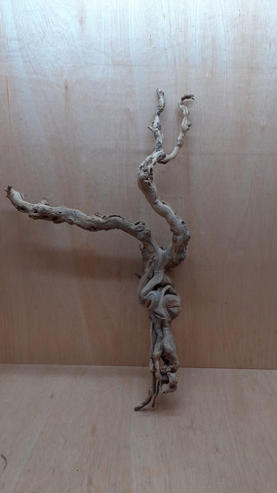 Sandblasted Grapevine - Large 3