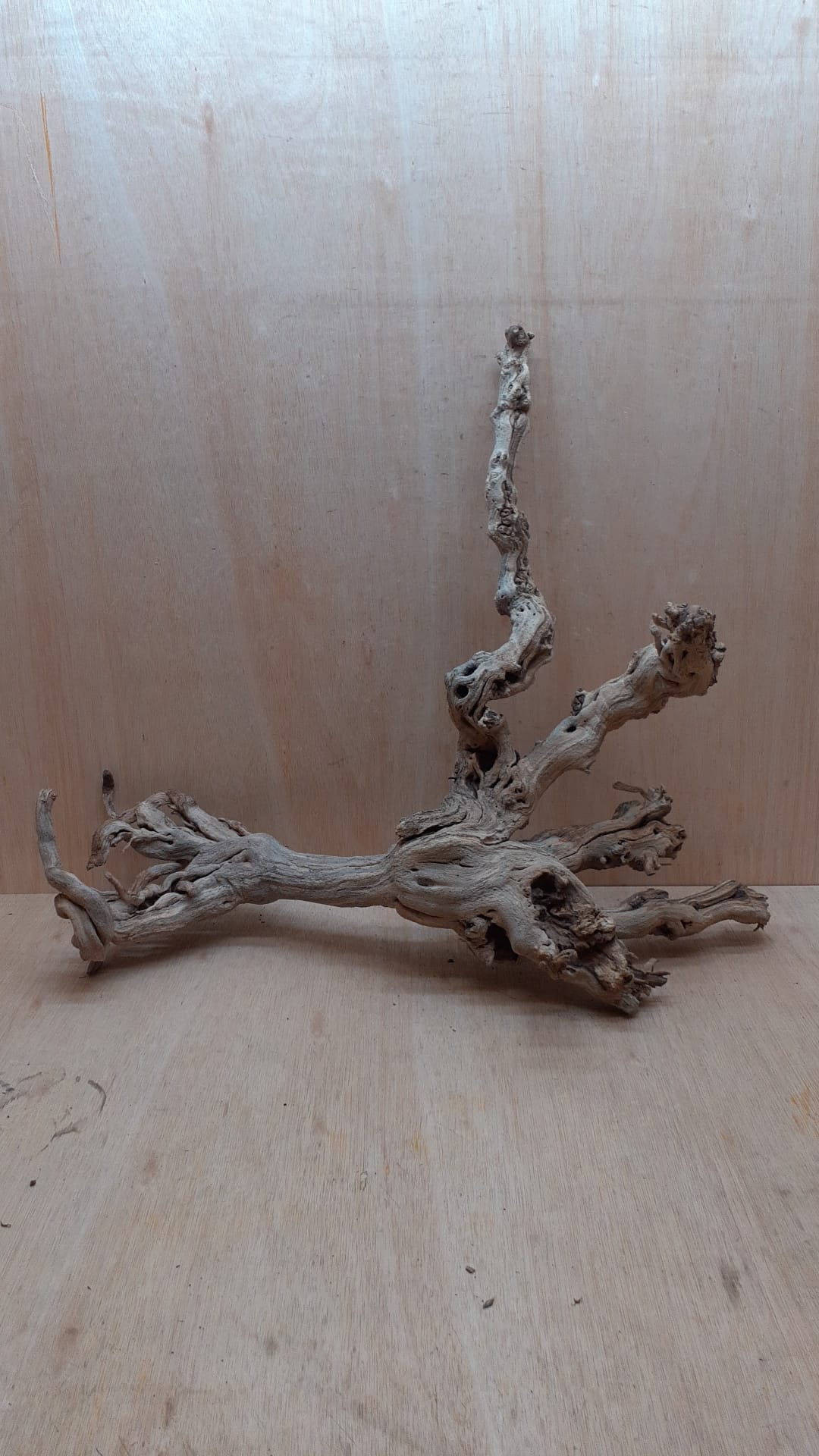 Sandblasted Grapevine - Large 7