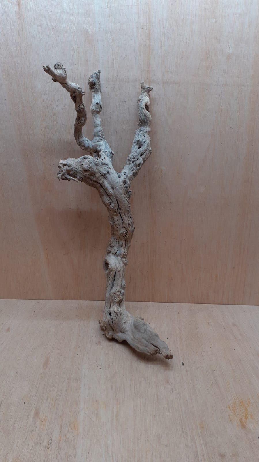 Sandblasted Grapevine - Large 20