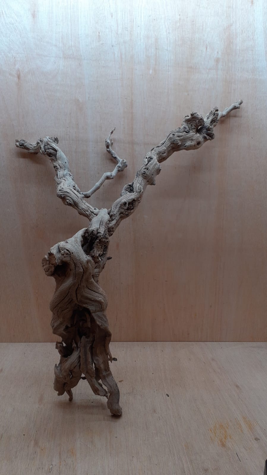 Sandblasted Grapevine - XL 10