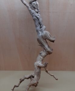 Sandblasted Grapevine - XL 4