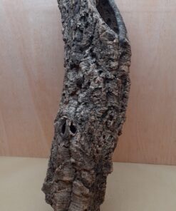 Medium Cork Tube - 60-80cm - 3