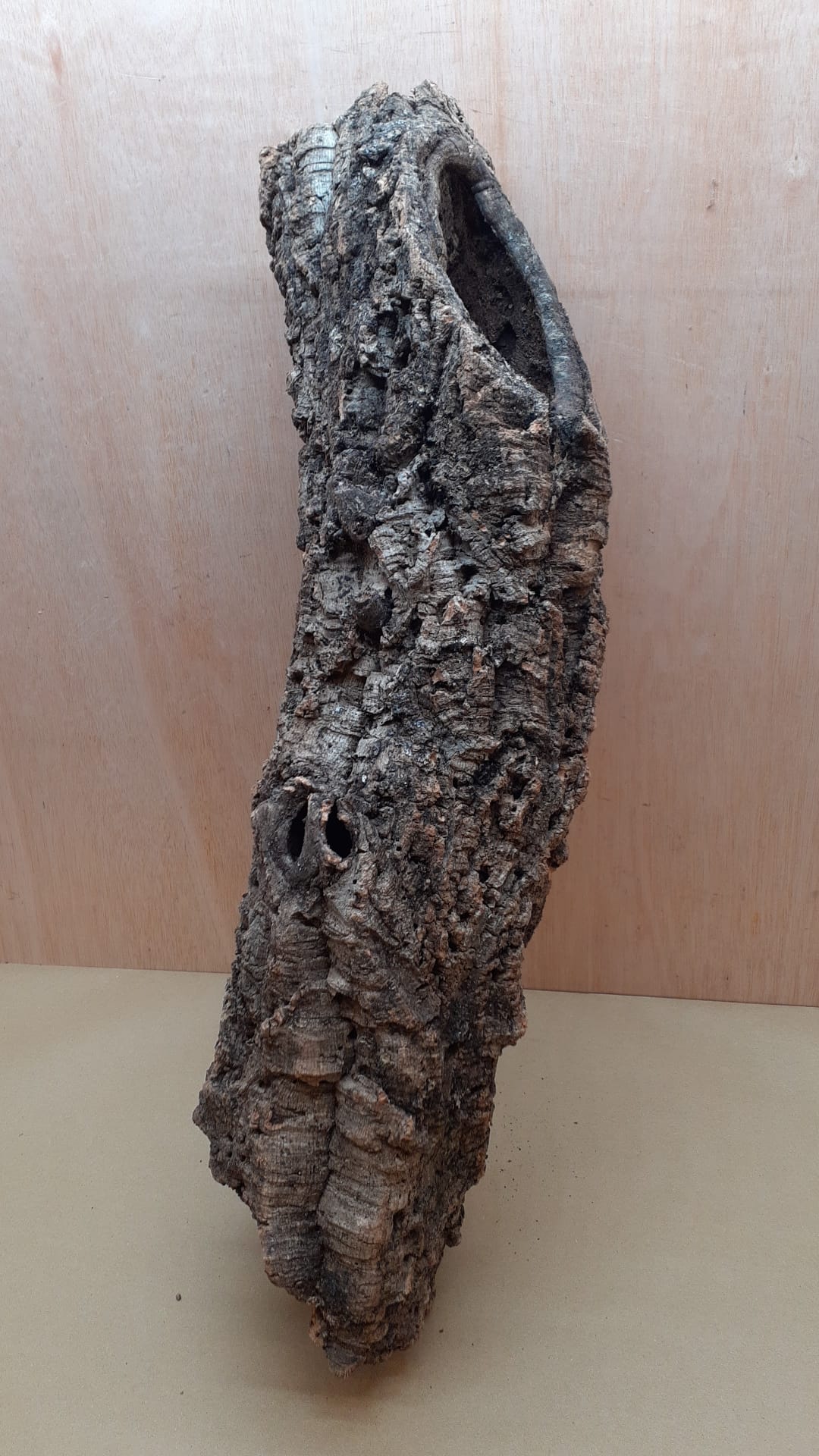 Medium Cork Tube - 60-80cm - 3
