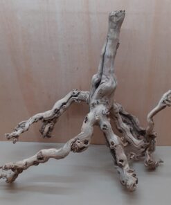 Sandblasted Grapevine - Large 18