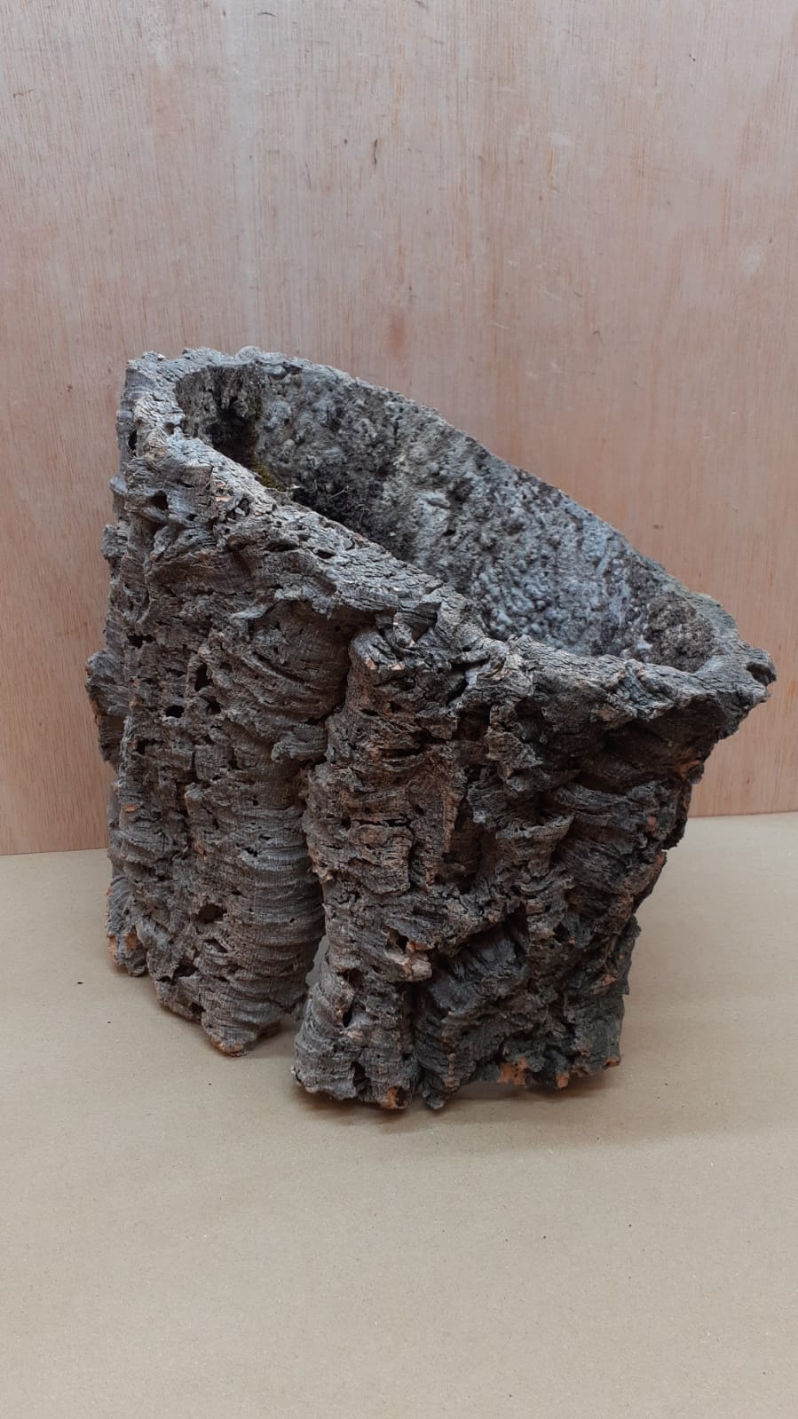 Large Cork Tube - Upto 40cm - 5