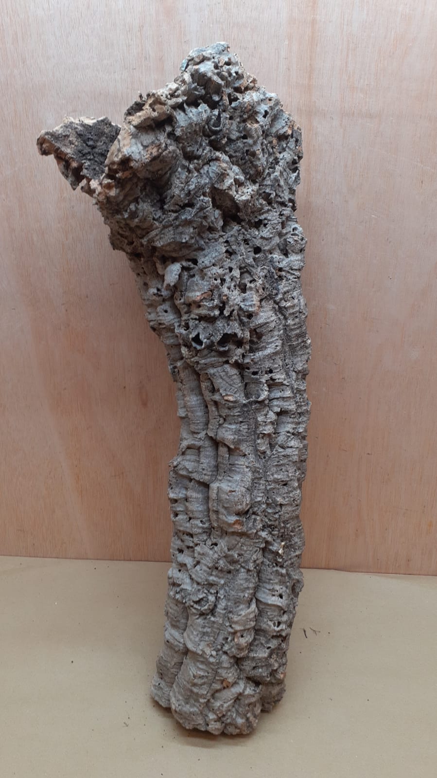 Medium Cork Tube - 60-80cm - 1