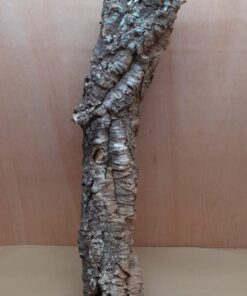 Medium Cork Tube - 60-80cm - 5