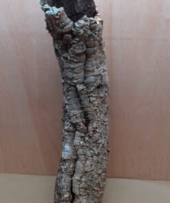 Medium Cork Tube - 60-80cm - 13