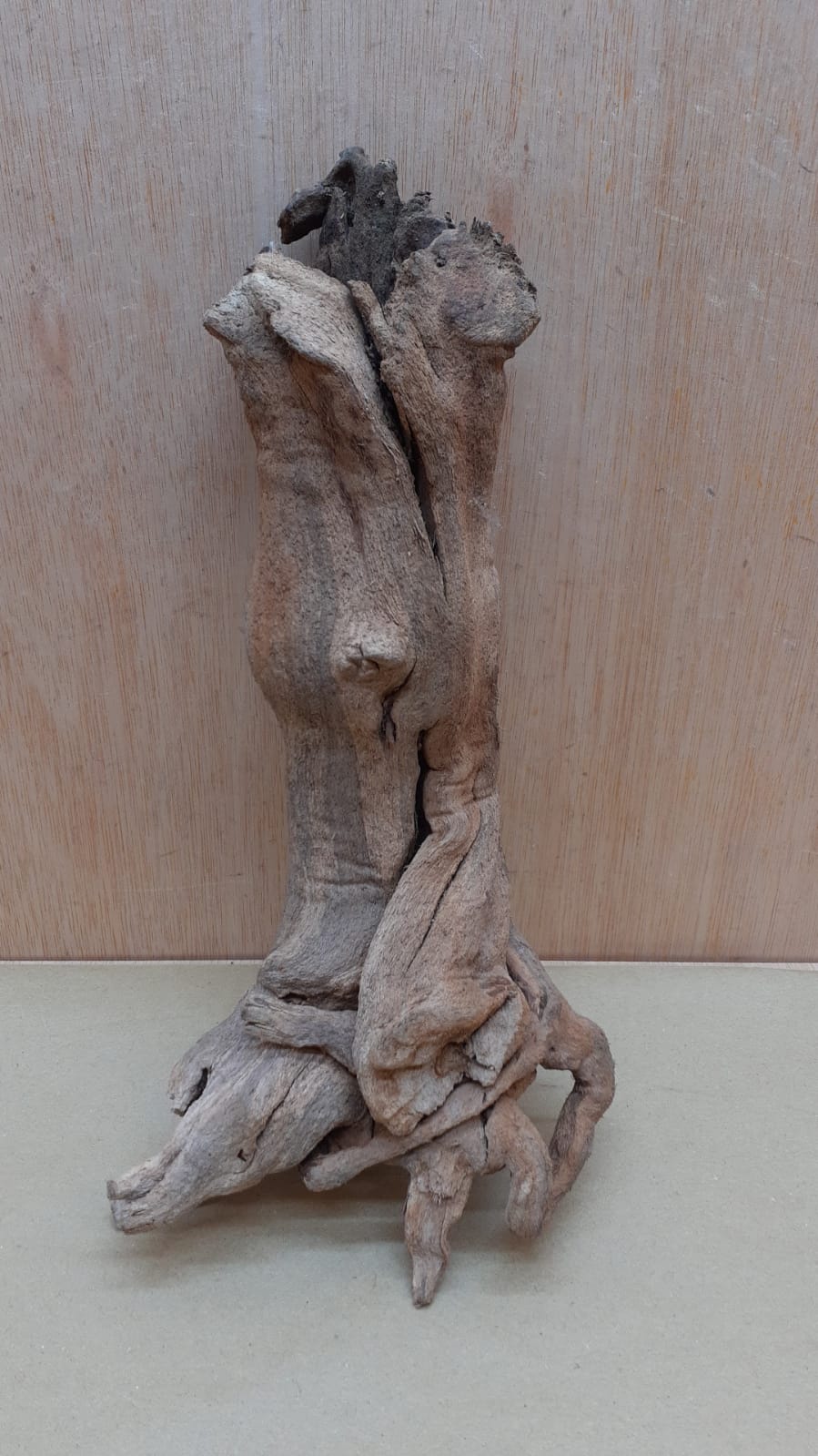 Sandblasted Grapevine - Small 2