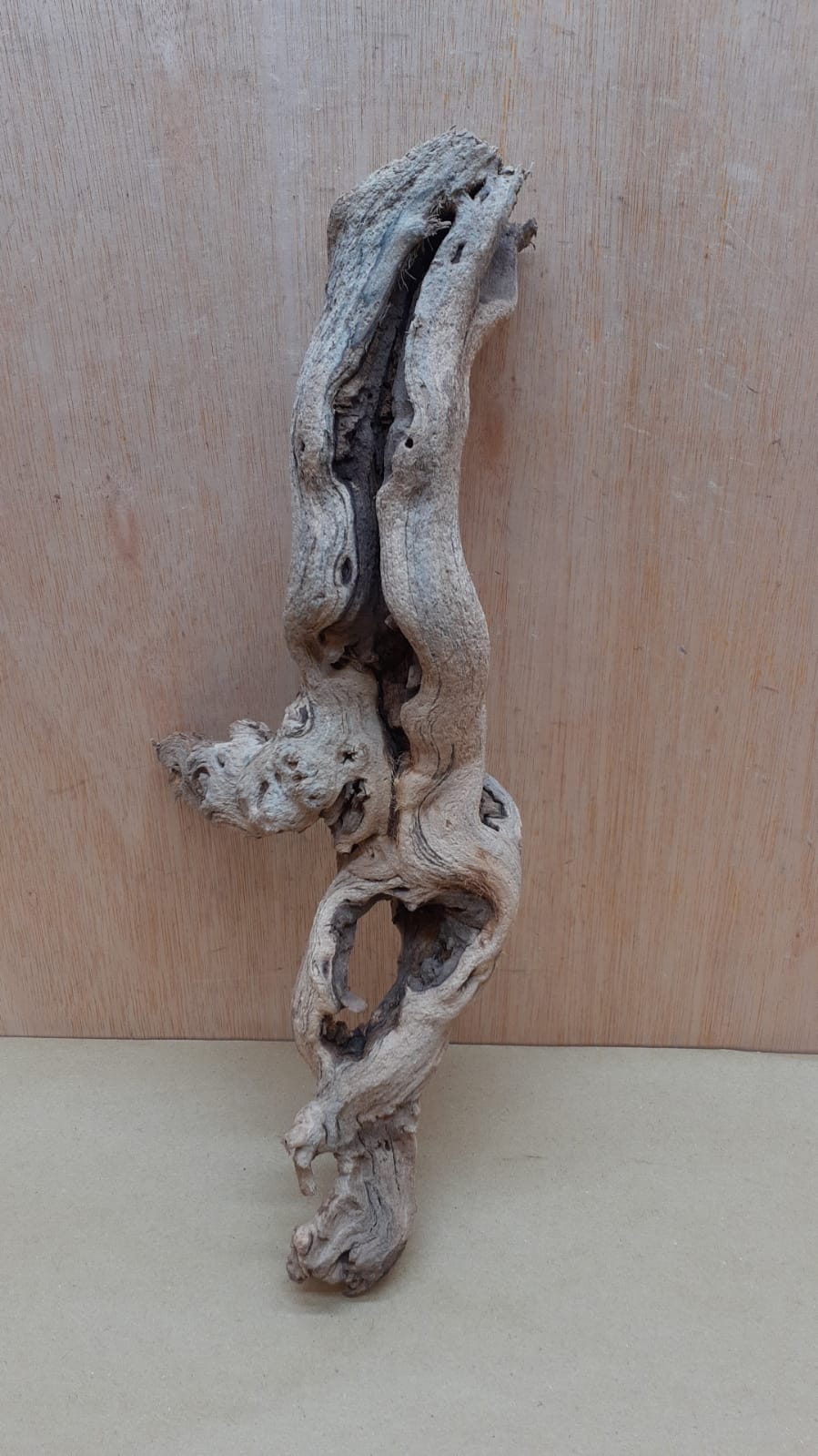 Sandblasted Grapevine - Small 6