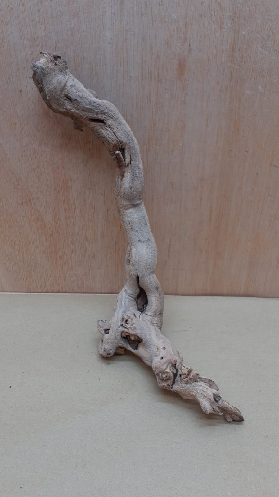 Sandblasted Grapevine - Small 20