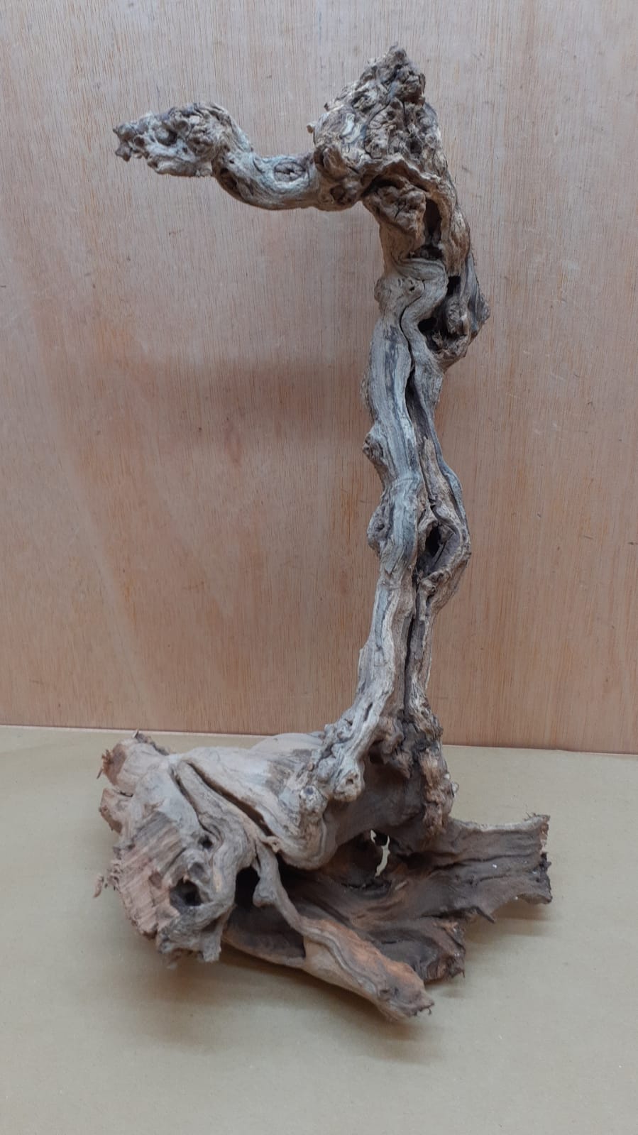 Sandblasted Grapevine - Medium 5