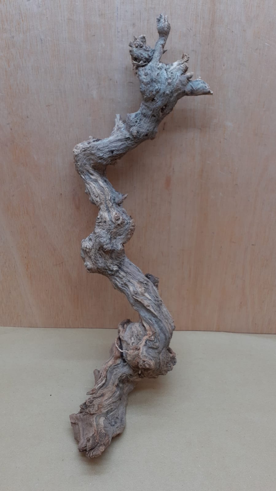 Sandblasted Grapevine - Medium 7