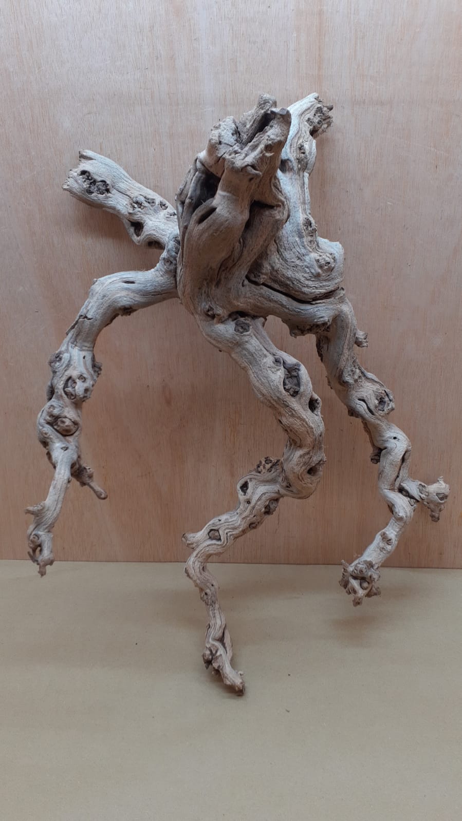 Sandblasted Grapevine - Medium 8