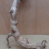 Sandblasted Grapevine - Medium 19