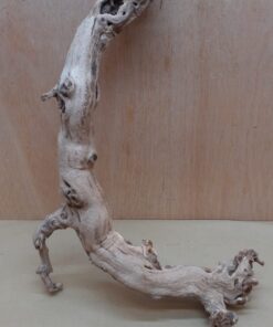 Sandblasted Grapevine - Medium 19