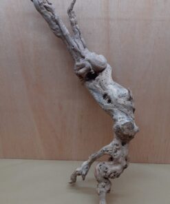 Sandblasted Grapevine - XL 9