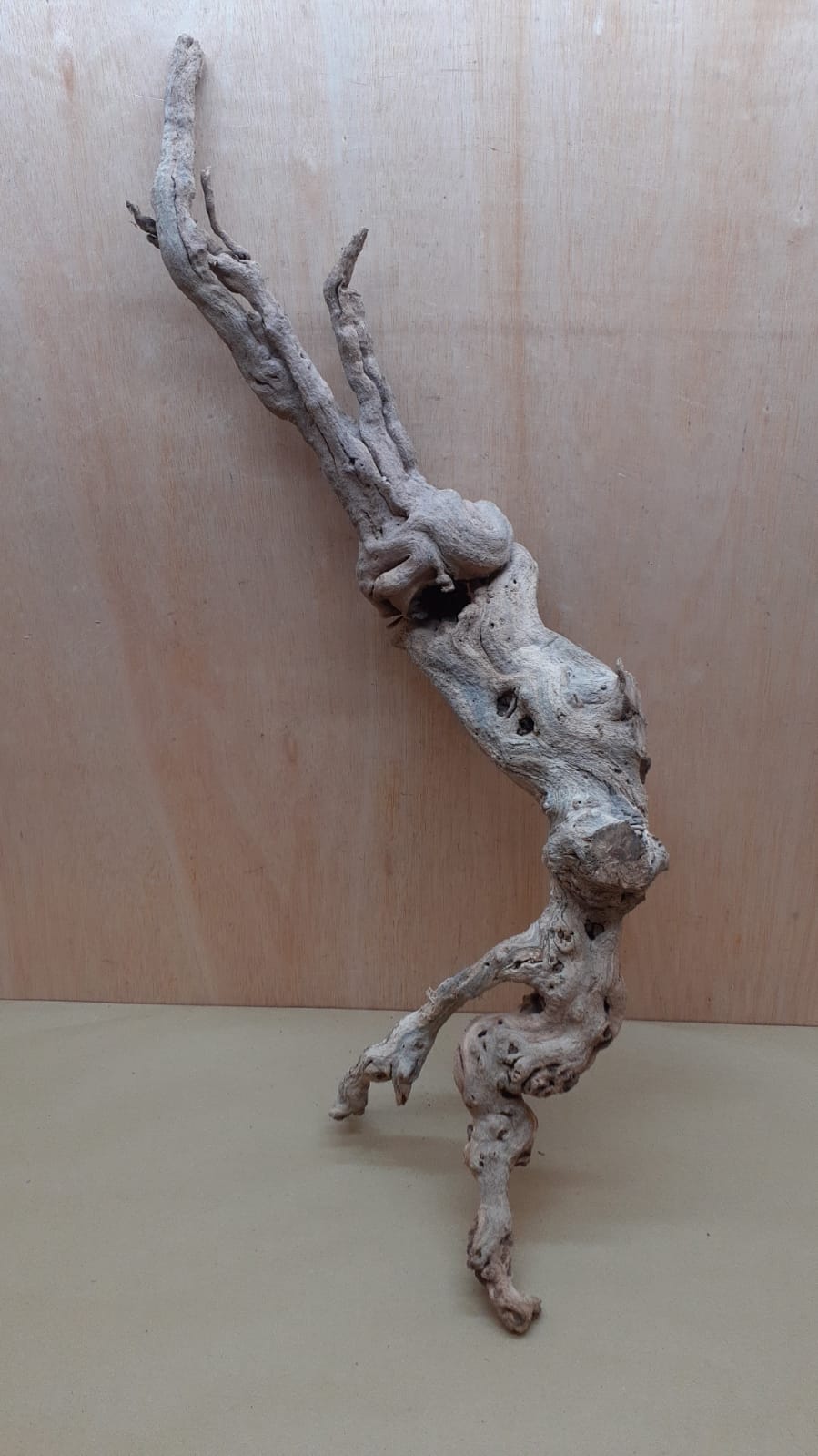 Sandblasted Grapevine - XL 9