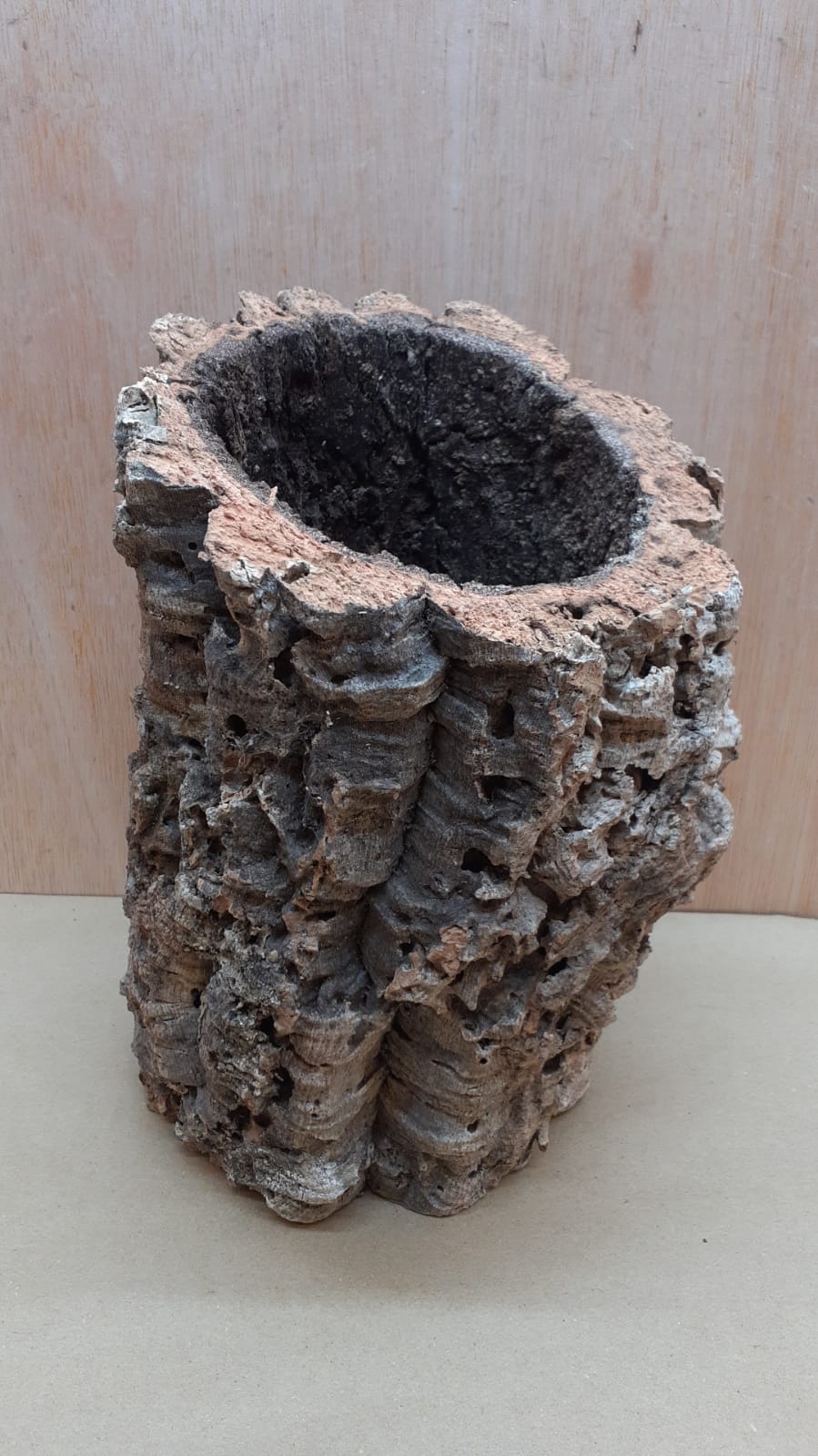Large Cork Tube - Upto 40cm - 4