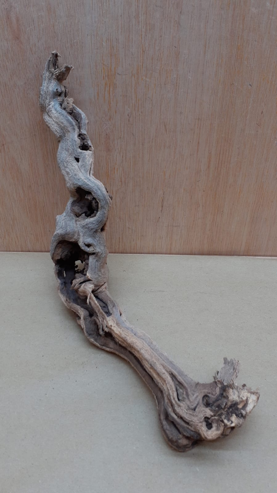 Sandblasted Grapevine - Small 3
