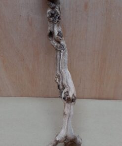 Sandblasted Grapevine - Small 4